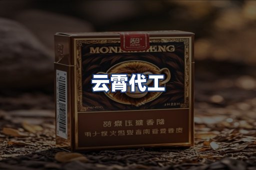 云霄代工